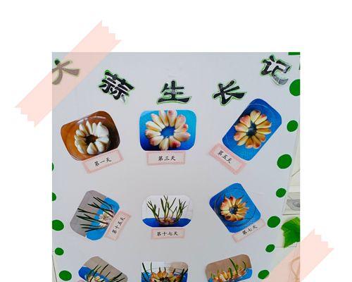 大蒜的生长温度是多少度（探究影响大蒜生长温度的因素及适宜温度范围）