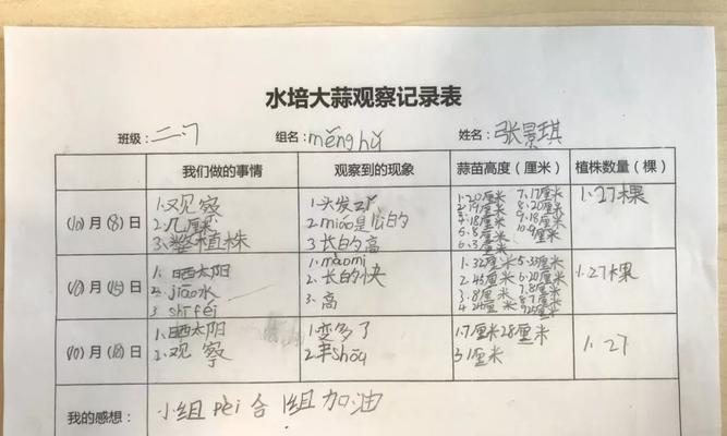 大蒜种植的深度与方法详解（浅谈大蒜种植的技巧与注意事项）
