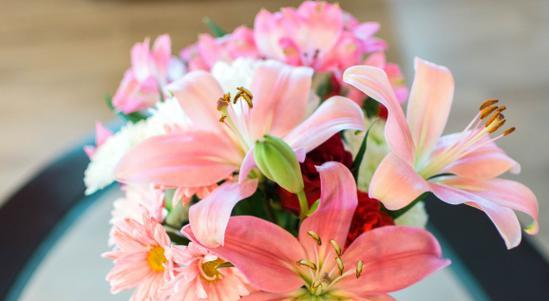 《以针垫花的花语和养护指南》（品味独特）