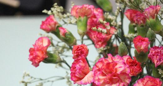 花祝愿代表早日康复（鲜花与美好祝福伴随代表的康复之路）