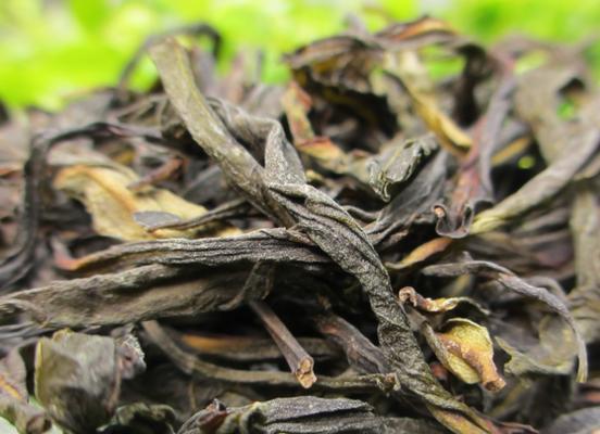探秘单枞茶的品种与特点（了解单枞茶的分类和制作工艺）