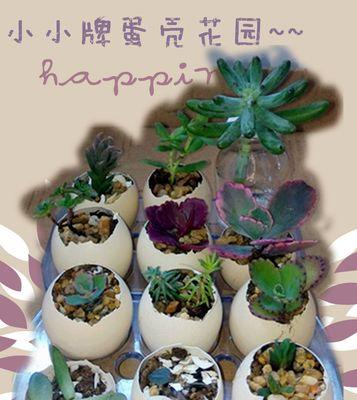 蛋壳肥料的正确利用方法（从蛋壳到肥料）