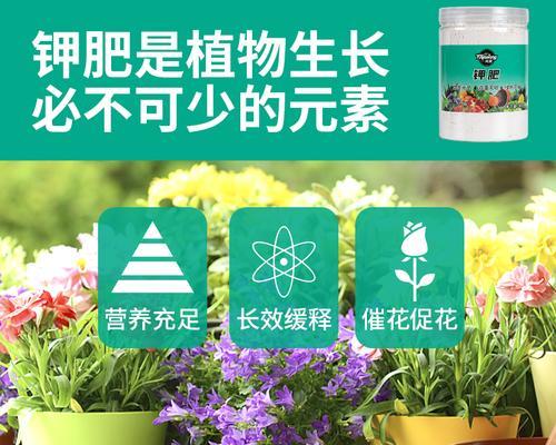 氮肥的种类与应用（从有机氮肥到无机氮肥）