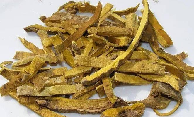 地柏叶子发黄，怎么办（地柏叶子黄化原因及解决方法）