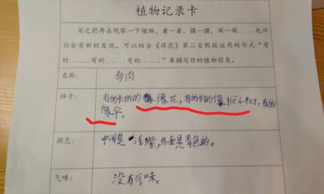 吊兰的生长特点及美化家居的魅力（从外表到品种）