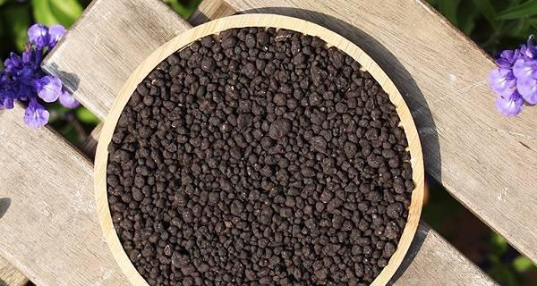 动物内脏可否作为肥料（探究动物内脏作为肥料的可行性）