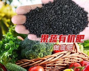 动物肉做肥料可行性探讨（肉类废弃物的再利用及环境影响分析）