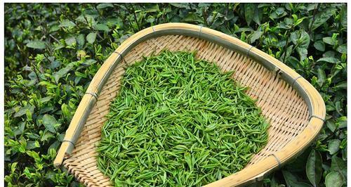 品味正宗的都匀毛尖茶（品茶之道）