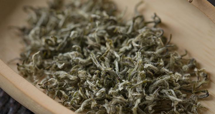 品味正宗的都匀毛尖茶（品茶之道）