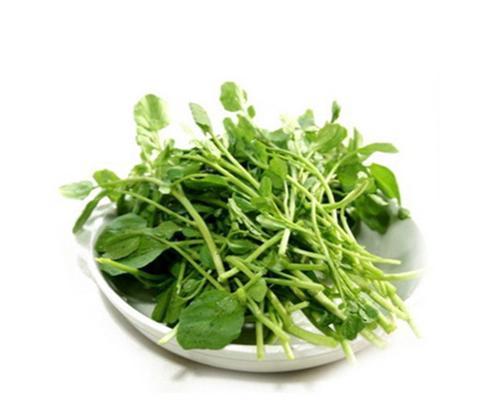 探秘豆瓣菜（豆瓣菜的种类）