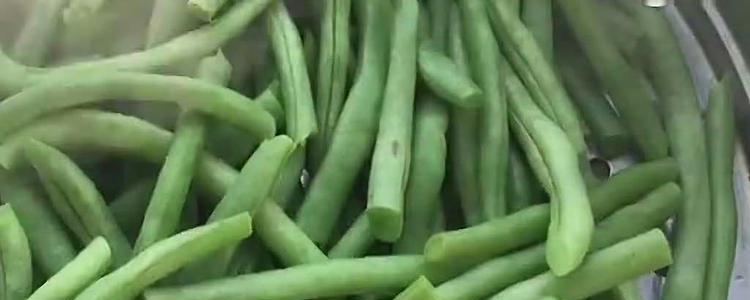 豆角的存储技巧和注意事项（豆角的存储技巧和注意事项）