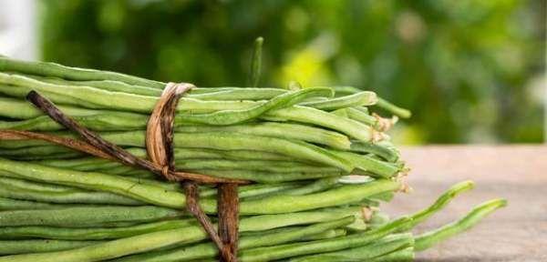 豆角可以冷冻保存吗（掌握正确方法）