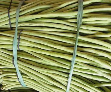 豆角种植收益分析（探寻豆角亩产量）