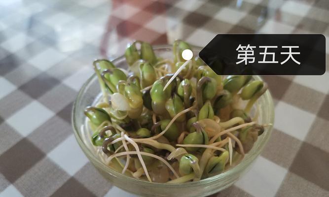 豆芽不仅是植物还是人类营养丰富的食物（探究豆芽的植物学和营养学特性）