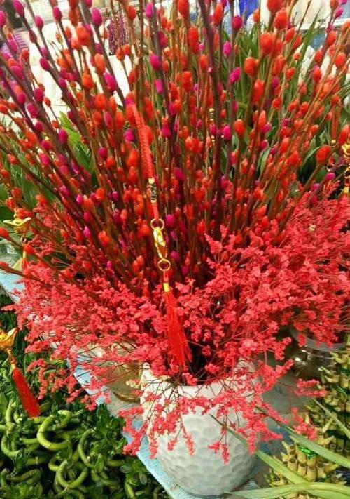 红色雏菊的花语与寓意（揭示红色雏菊独特的内涵与象征）