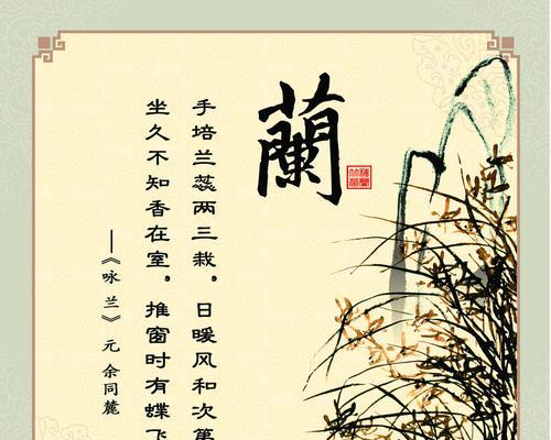 兰花的花语及代表意义（品味兰花花语）