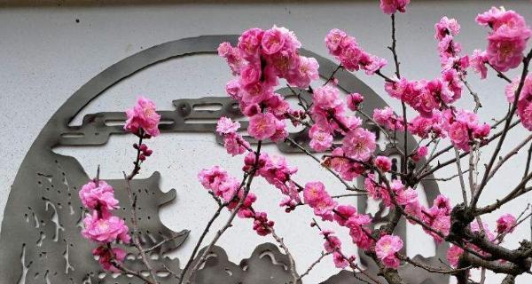 梅花象征十二生肖之一的及