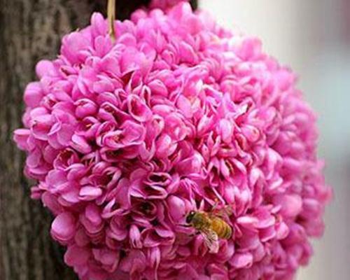 花开花谢，一切都会结束（以百合花代表结束的意义与寓意）