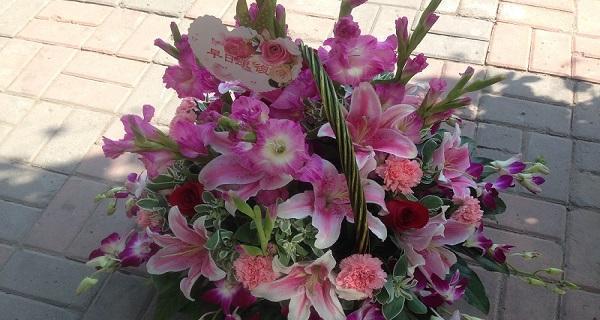 花开早日康复（用花朵传递祝福与希望）