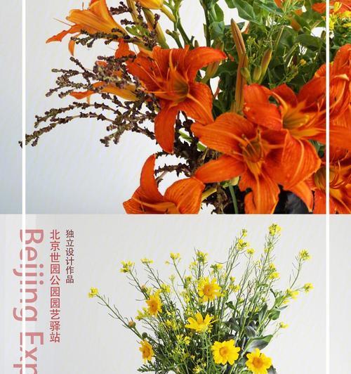 自负自恋的花语世界（以自恋玫瑰为代表）