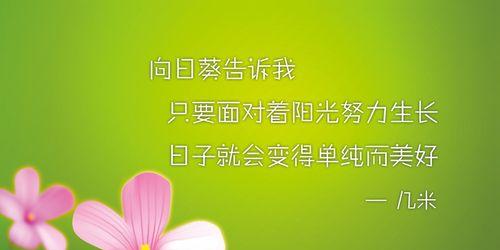 以向日葵花语为主题的奋斗之道（用向日葵花语启迪奋斗之路）