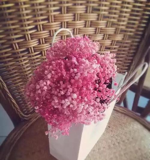 以玫瑰花的花语表达“我喜欢你”（用玫瑰花传递爱意）