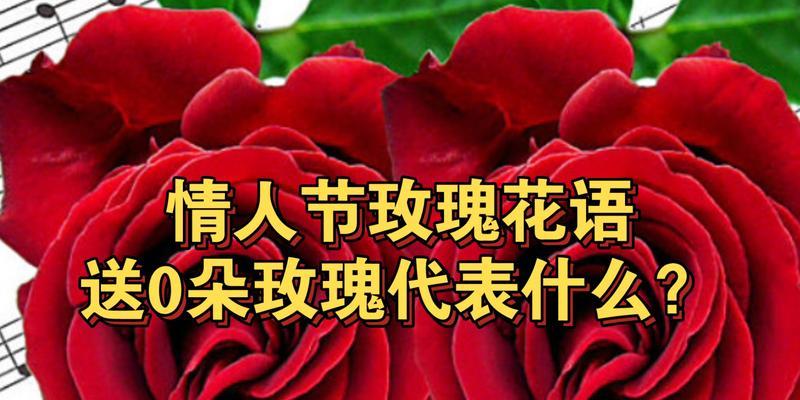 四朵玫瑰的花语之解读（玫瑰的不同颜色和数量所传递的情感）