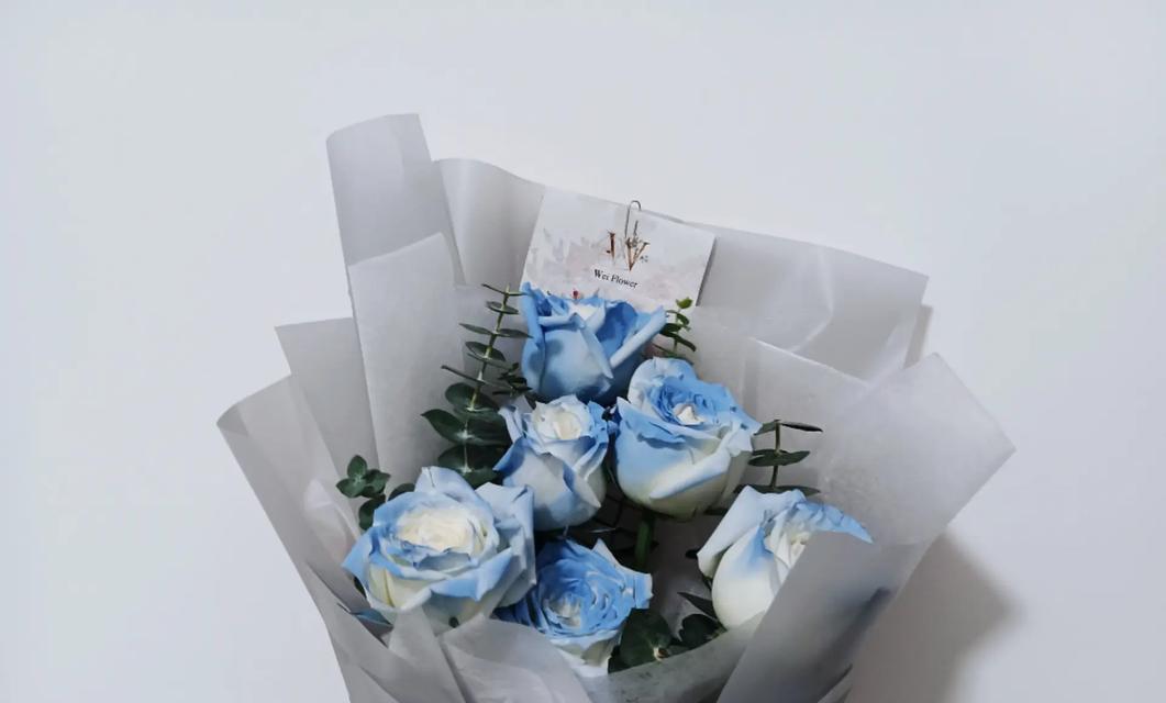 碎冰蓝的花语（透过碎冰蓝）