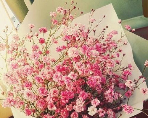 满天星花语（花开满天星）