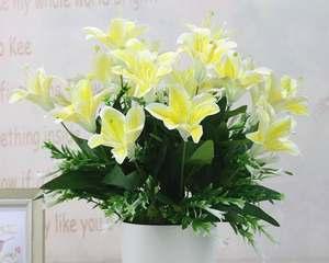 百合花的寓意与赠送对象（一朵百合花的深情寓意与适合送给的人群）