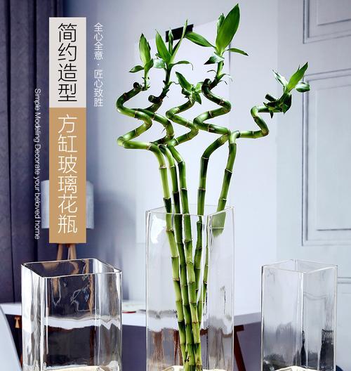 百合花与富贵竹的搭配与意义（寓意吉祥的百合花与富贵竹的完美组合）