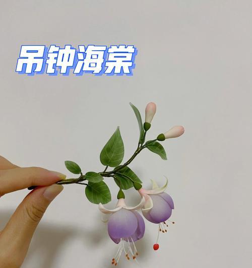 吊钟海棠花语（探寻吊钟海棠的秘密）