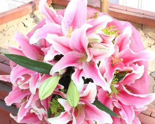 蝶花百合（用蝶花百合的花语）