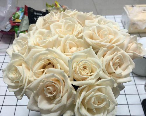 芬德拉玫瑰花语的魅力与意义（探索玫瑰花语的深刻寓意）