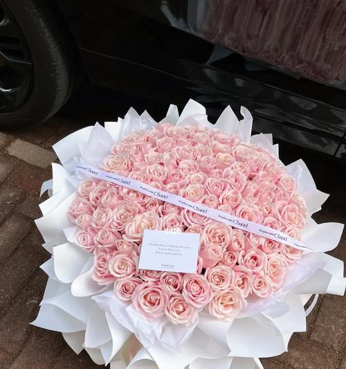 粉红雪山玫瑰花语的美丽与寓意(探寻粉红雪山玫瑰花的独特意义与传递之道) 粉红雪山玫瑰花语的美丽与寓意(探寻粉红雪山玫瑰花的独特意义与传递之道)