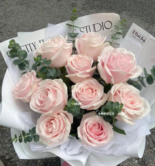 粉红雪山玫瑰花语的美丽与寓意(探寻粉红雪山玫瑰花的独特意义与传递之道) 粉红雪山玫瑰花语的美丽与寓意(探寻粉红雪山玫瑰花的独特意义与传递之道)