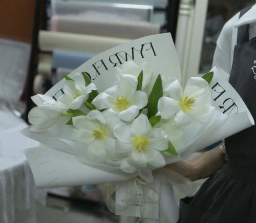 白色郁金香的花语与寓意（探索白色郁金香的象征意义）