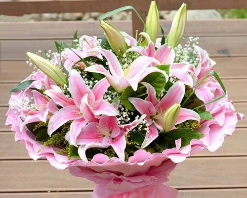 百合花的象征意义及文化内涵（深入探究百合花所代表的情感与美好）