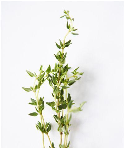 百里香花语（从自然界中汲取的力量）