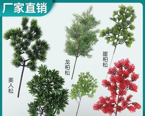 柏树的象征意义（揭示柏树的丰富寓意）