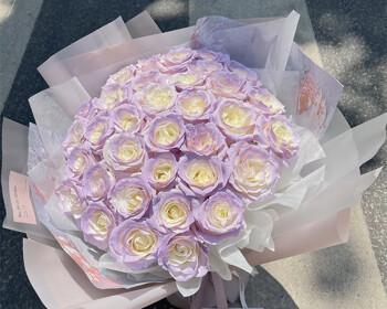 薄雾玫瑰花语（探寻薄雾玫瑰的花语之美）