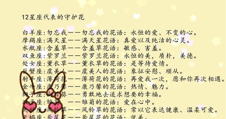 薄雪草花语之美（寒冬中的绽放与温暖）