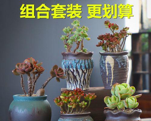 长条花盆种植植物攻略（打造独特的绿色空间）
