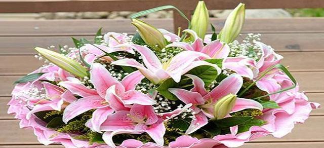 友情之花（以花为媒）