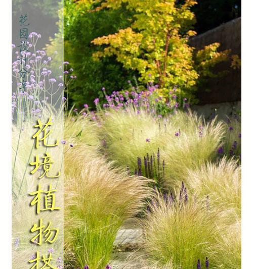 北方露地花卉——美丽春天的主角（探究北方露地花卉的种类）