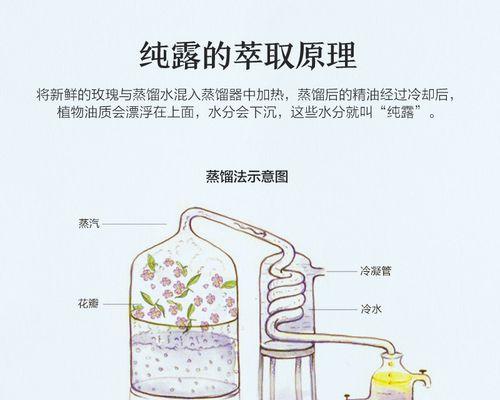 露娜莲开花后怎么处理（让你的露娜莲不凋谢的秘诀）