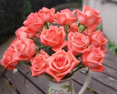 粉玫瑰（花语解读与文化内涵）