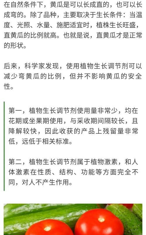 露天黄瓜种植成本及利润详解（亩产量多少斤）