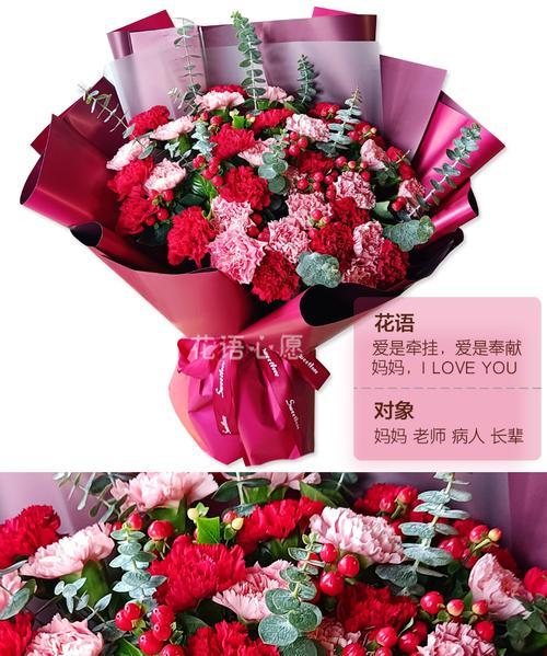 粉色康乃馨的花语（探索康乃馨的花语）