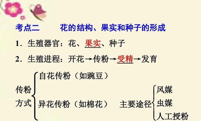 细说缕丝花的养殖技巧（打造花园中的迷人景观）